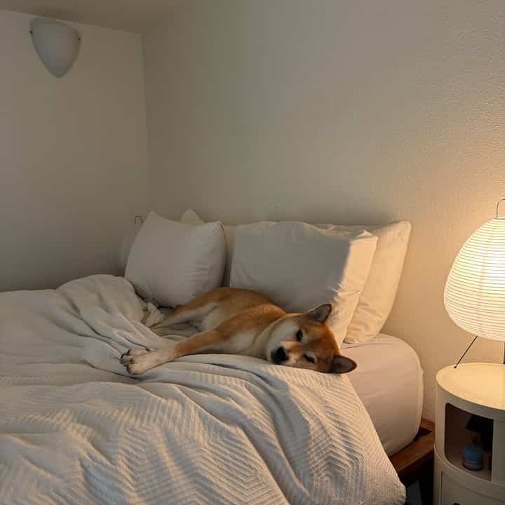 Natural color tone Japandi bedroom featuring a white bed with a dog comfortably resting, creating a cozy atmosphere