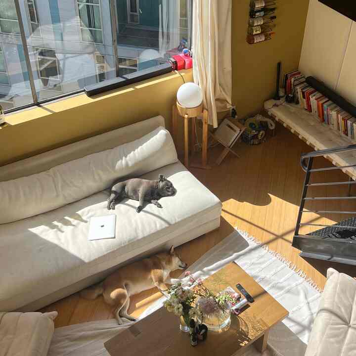 messy cozy home #cozyhome #lighting #loft