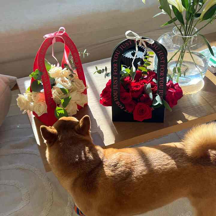 DIY bouquets for our beautiful mommas #valentines #diy #loft