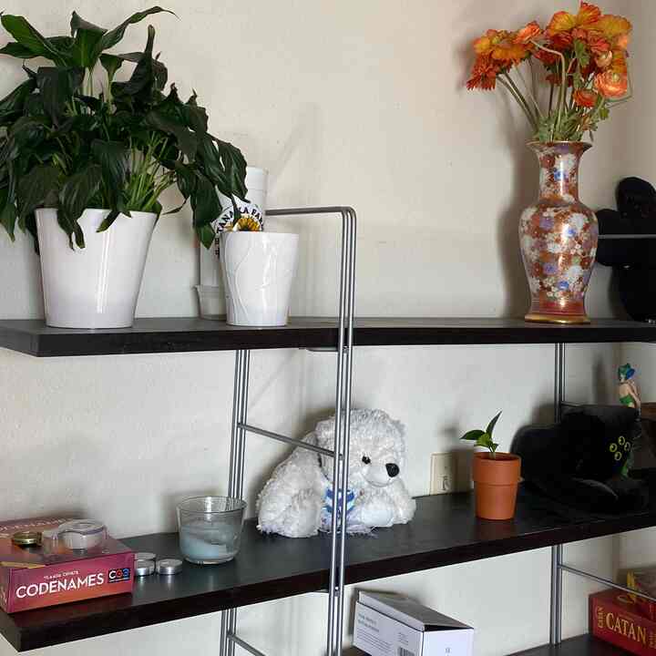 Living room space with white and brown toned shelves featuring plants, vase with flowers, and stuffed animal creating a cozy atmosphere