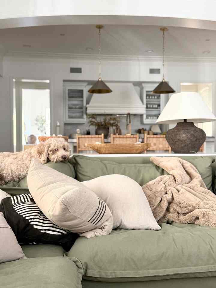 Living Room cozy design. #livingroomdesign #moderndesign #moderninterior #puppylove