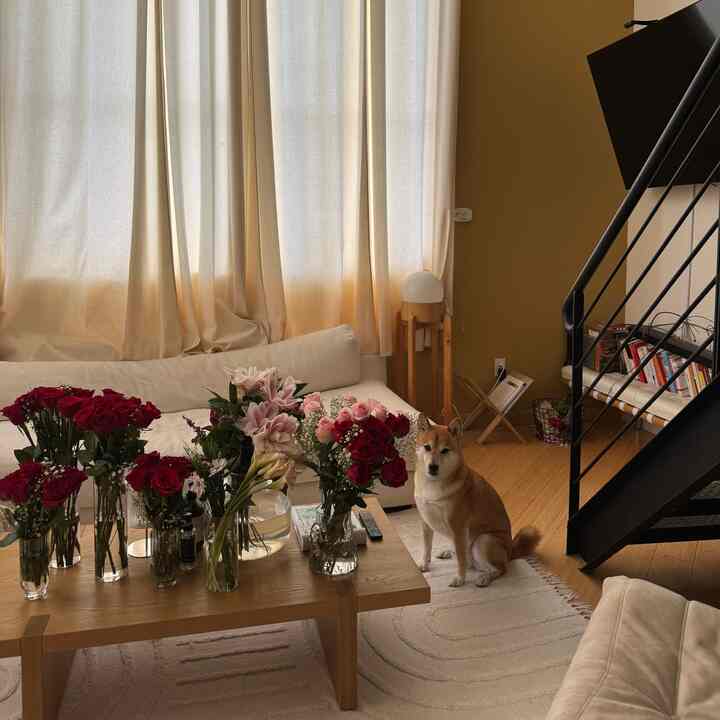 filled with so much love #valentines #japandi #cozy