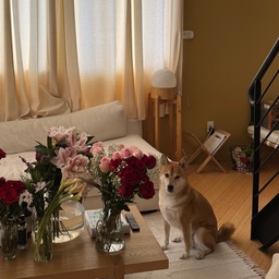 Kaiju is curious about flowers #valentines #cozyhome #loft