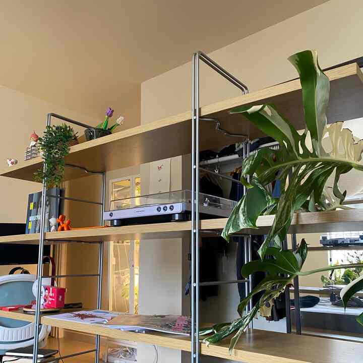 close up of this dream shelf. Still can’t believe I gotnit for a steal. Any recommendations on what to put on it? #japandi #mcm #enetrishelf #ikea