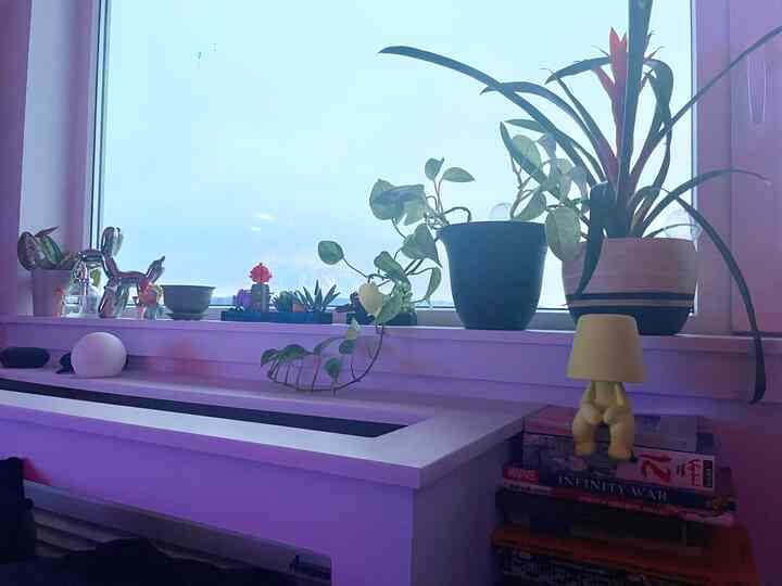A moment for this window ledge in my living room #trinkets #smalldecor #plantshelf