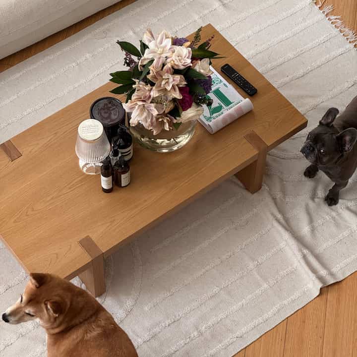 Natural wood-tone living room featuring a central coffee table and rug, with two dogs creating a cozy atmosphere