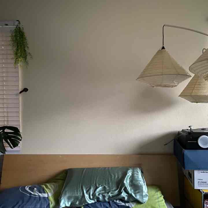 Natural wood-toned bedroom featuring hanging lamps and green plants against a neutral wall, creating a cozy natural atmosphere