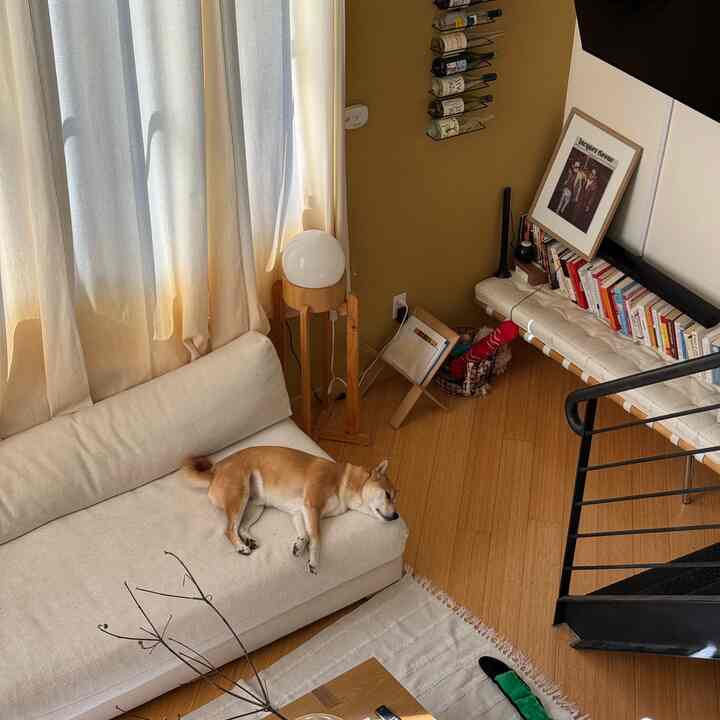 weekday nappies #japandi #loftapartment #sanfrancisco