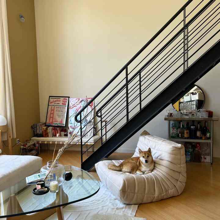 the last day with our beloved togos 🥹 #togos #dupe #loft