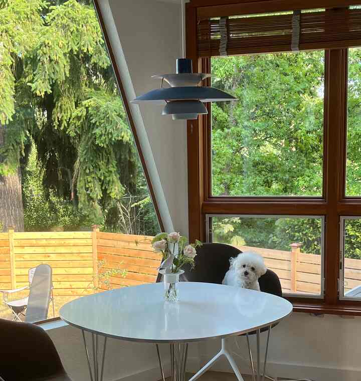 Cozy 4-person dining nook in white and brown wood tones by large windows, featuring pendant light and a dog seated at the table