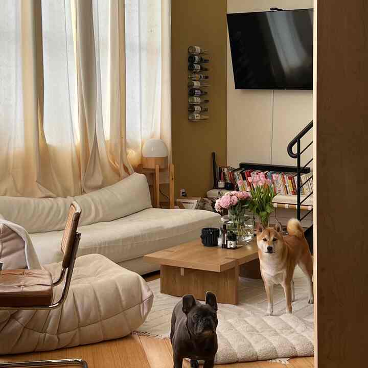 Beige and brown toned living room featuring a coffee table, wine rack, and two dogs in a natural and simple setting