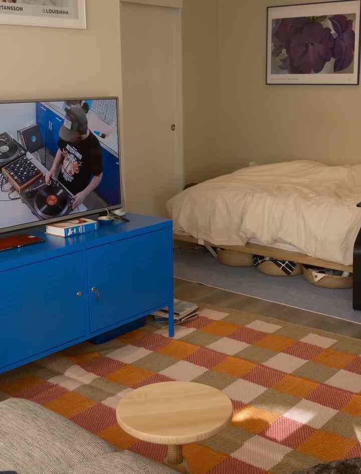 Cozy single household bedroom featuring warm wood tones and a blue cabinet, with a checkered carpet and natural accent pieces