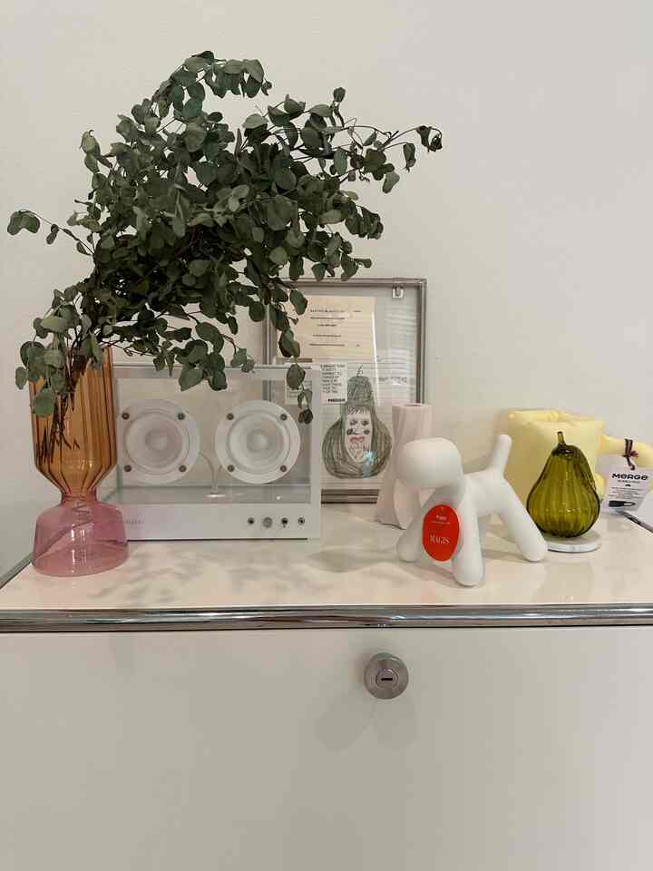 Simple space featuring a white top cabinet with Magis dog chair, transparent Bluetooth speaker, plant in vase, and decorative objects