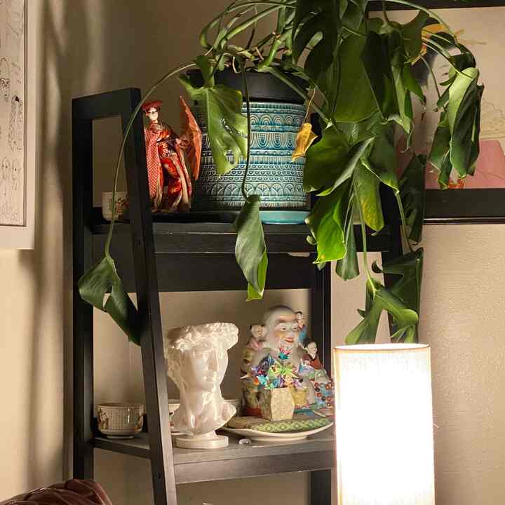 Natural toned corner space featuring a black ladder bookshelf with Monstera plant and warm lighting creating cozy decor ambiance
