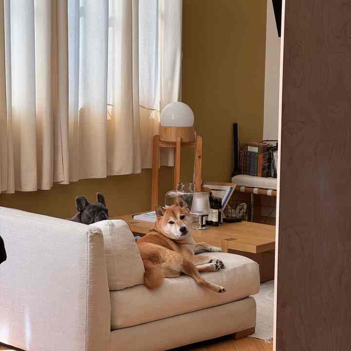 slowly but surely moving out :,) #japandi #loftapartment #sanfrancisco 