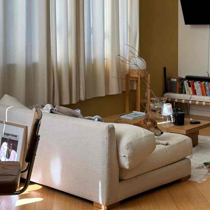 Beige and wood-tone loft living room featuring a spacious sofa, low coffee table, and a dog resting comfortably creating a cozy atmosphere