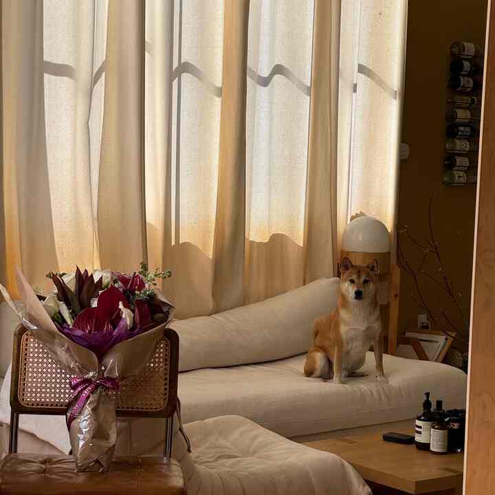 boy girl apartment #japandi #cozyhome #boygirl