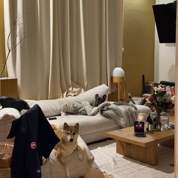 Beige and brown toned loft living room featuring sofa, coffee table, and two dogs in a cozy natural setting