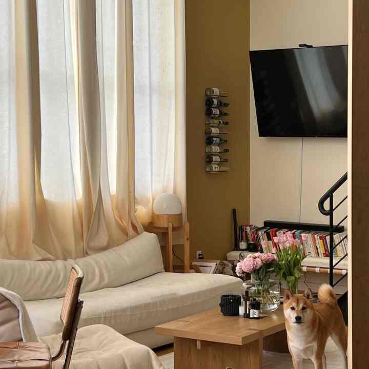 Natural-toned loft living room featuring a white sofa, wooden coffee table, wall-mounted wine rack, and a dog in a cozy setting