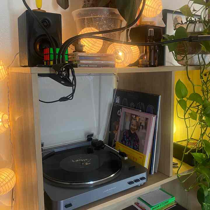 Natural wood tone bookshelf featuring an Audio-Technica turntable and pothos plants with cozy ambient lighting