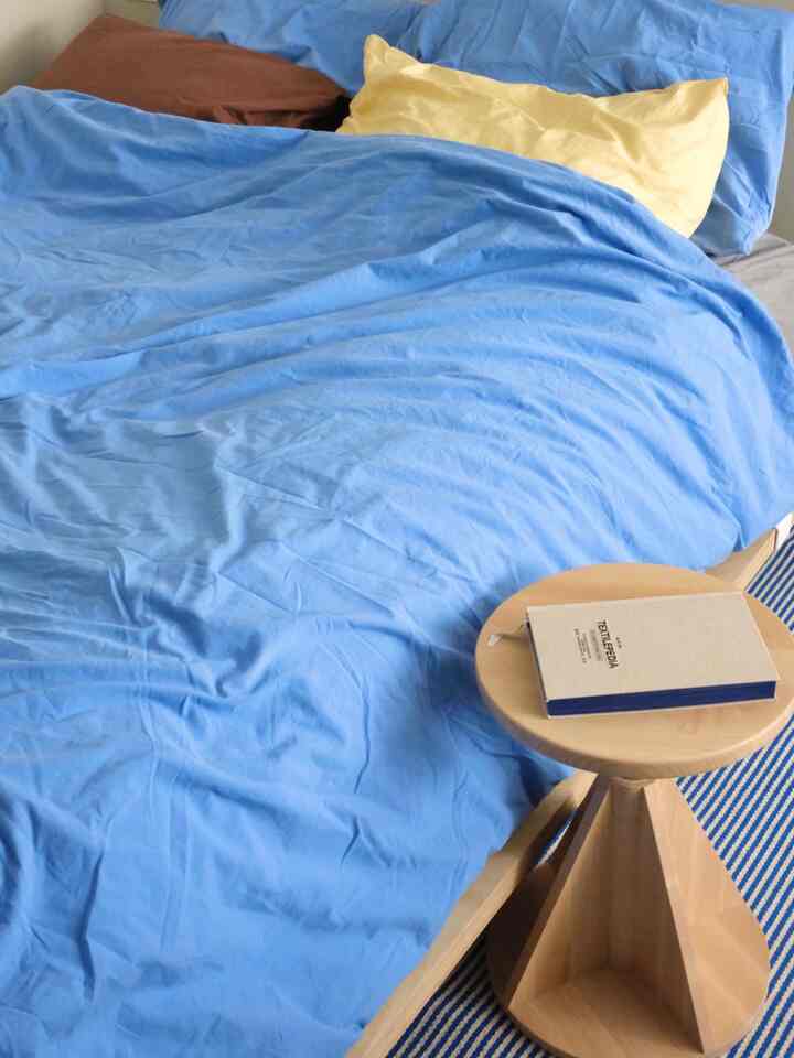 Design tip 💡: Use a key color for a cohesive look— blue for bedroom 💙🦋
#beddinginterior #haydesign #bedroominterior 