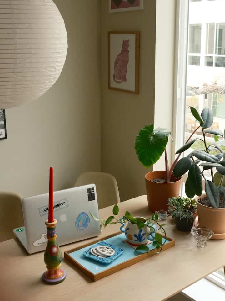 Love placing my plants on the table for an extra touch of greenery! 🍀
 #Planterrier #plantinterior 