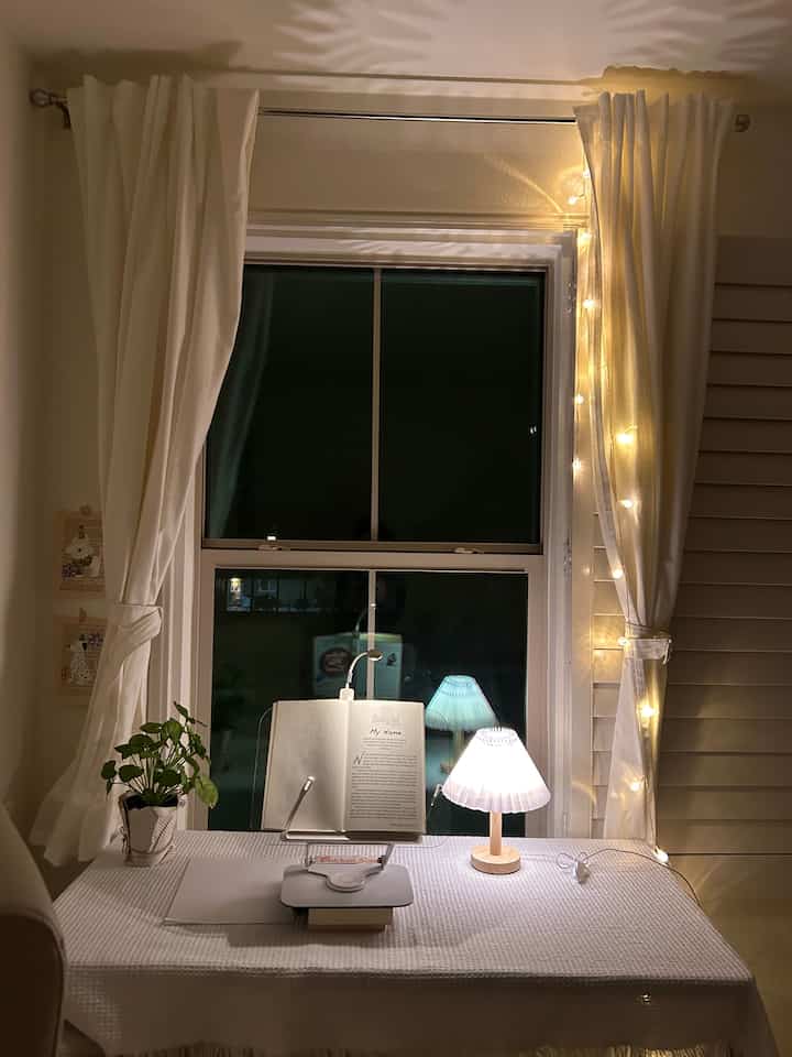 Tagged posts featuring VGGFDY Globe String Lights 1