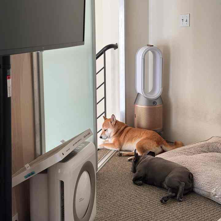 nap time #cozy #freshair #loft