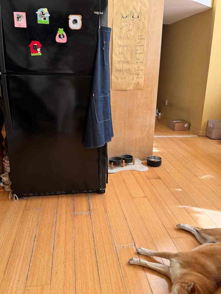 messy week #sfloft #cozy #naturallight