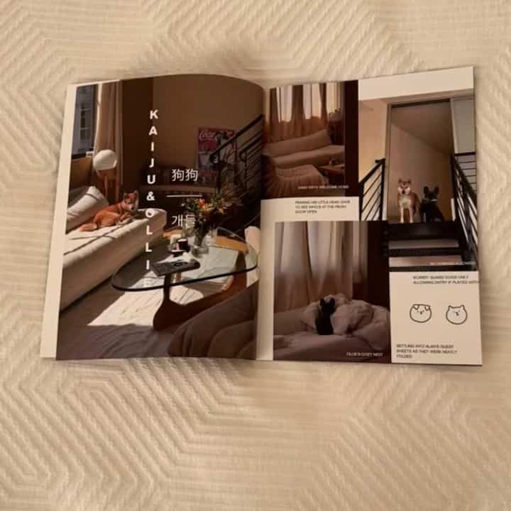 Brown and beige toned living room featuring sofa and coffee table with a warm, natural atmosphere