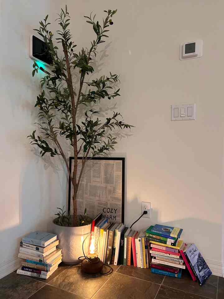 My little library corner📚

#bedroom #bathroom #bedroomdecor #minimaldecor #minimalist #cozyinterior #simpledecor #closet #readingnook #homecafe #homemade #kitchen #minimalinterior #homelibrary #booknook
#bookinterior
