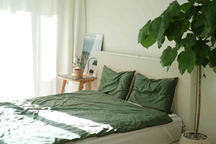 Cozy minimal bedroom with soft white walls, warm wooden side table, green bedding, and large leafy plant creating calming vibe
