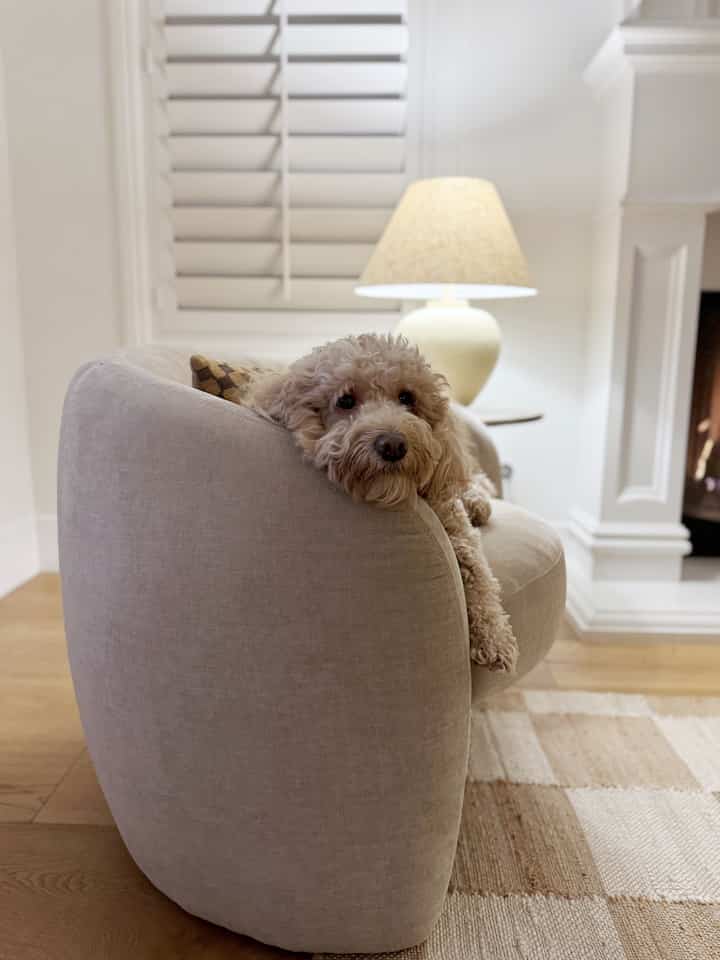 Ivory and wood tone living room featuring a beige armchair, table lamp, and checkered rug with a cozy ambiance