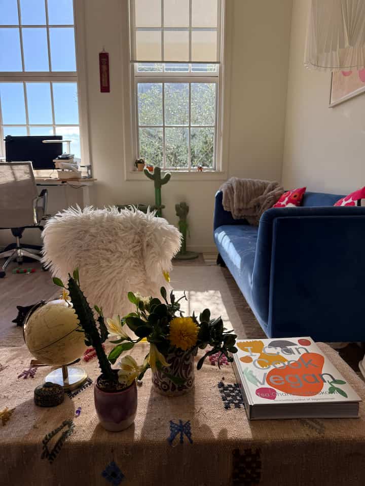 Aku dan tempat perlindungan kucingku 😌 #sunnyday #sanfrancisco #livingroom #apartment #cathouse