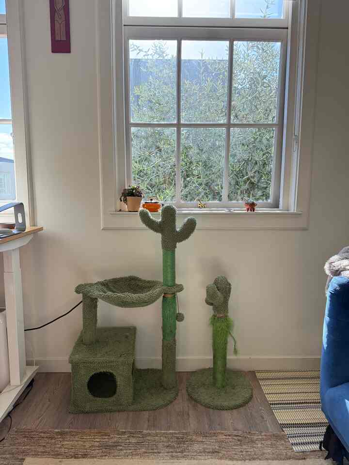 Living room corner with white walls and wood tone flooring featuring a green cat scratching post and tower creating a cozy atmosphere