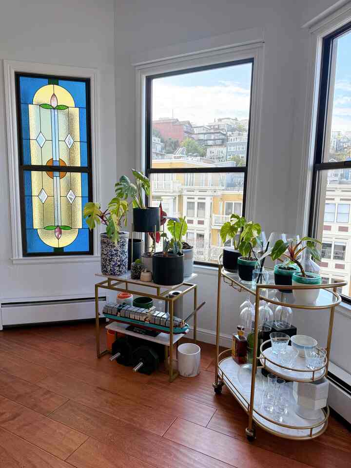 Our bar carts are more for plants and legos 🪴🧱 #greenery #plants #livingroom #barcart #lego #sanfrancisco #apartment