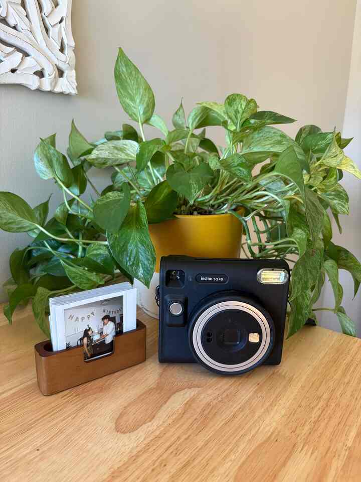 If you have polaroids, my hack for displaying photos is to use a business card holder! There’s lots of cute designs and easier to keep your photos together 📷 #polaroid #fujifilm #plant #plantinterior #warmfeeling 