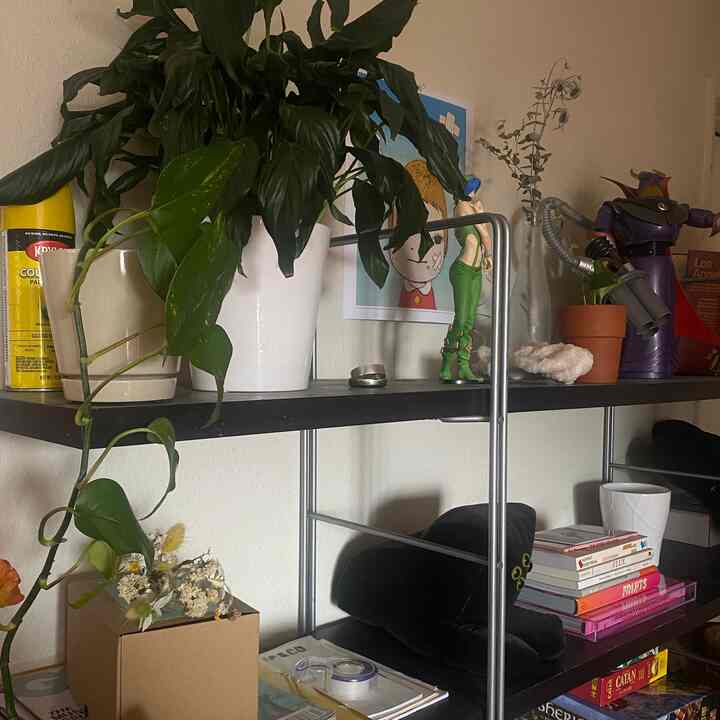 Black metal shelving unit with plants, figurines, and books in an art-inspired cozy interior space