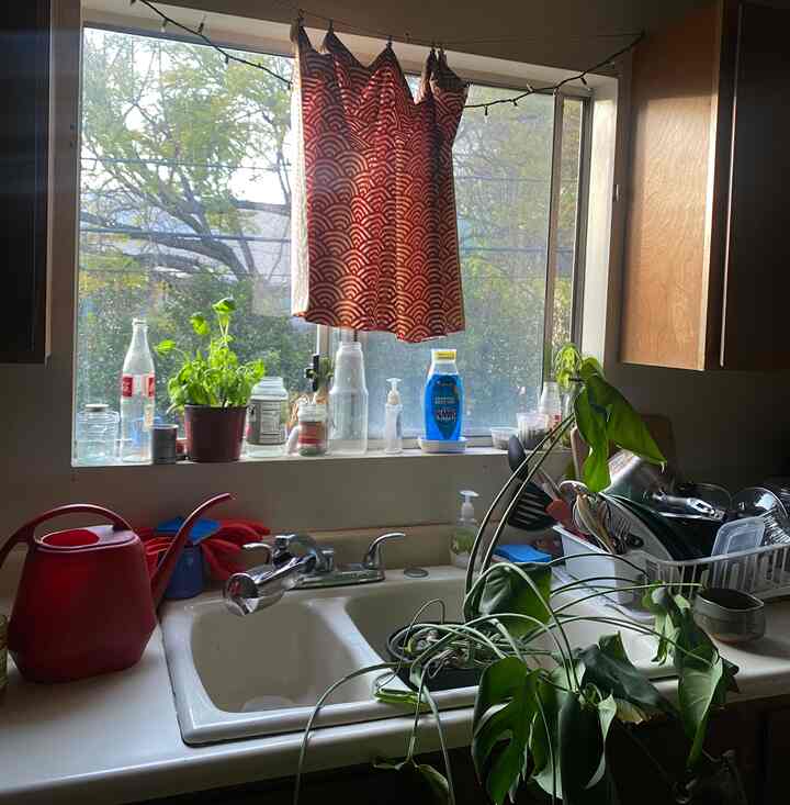 Watering day! I’ve had this monstera for over two years now🌱 #evening #slowday #kitchen #plants