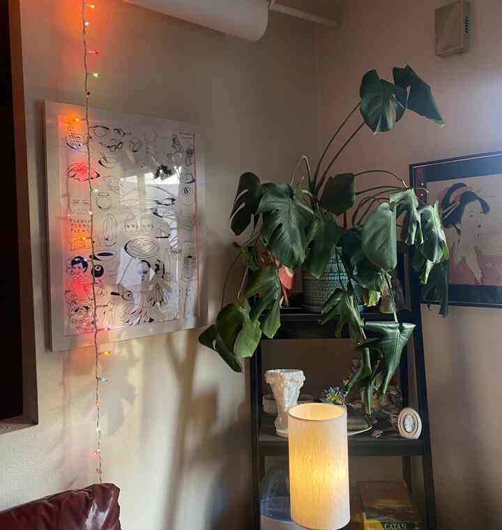 Selamat malam yang menenangkan :) #plants #lights #shadows