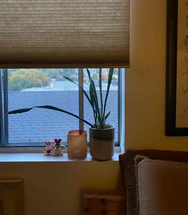 Beige-toned bedroom window with plant and blinds creating a warm, cozy atmosphere
