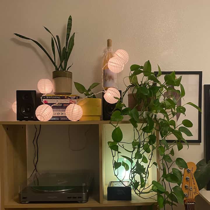 Tagged posts featuring Black Picture Frame (Multiple Options) 1