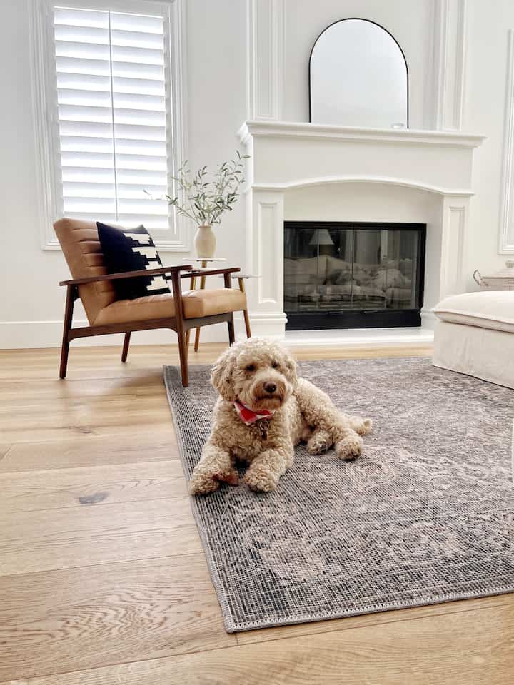 Modern living room design. #midcenturymoderndesign #livingroomdesign #puppylove