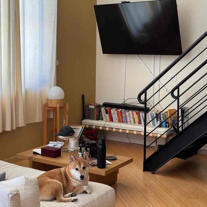 Natural brown and white toned loft living room featuring white sofa, multi-use coffee table, and a dog comfortably resting, creating a cozy atmosphere