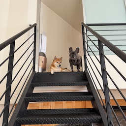 why so serious? #loft #japandi #athome