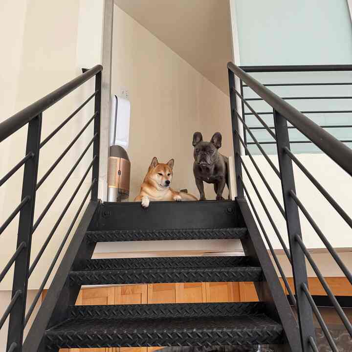 why so serious? #loft #japandi #athome