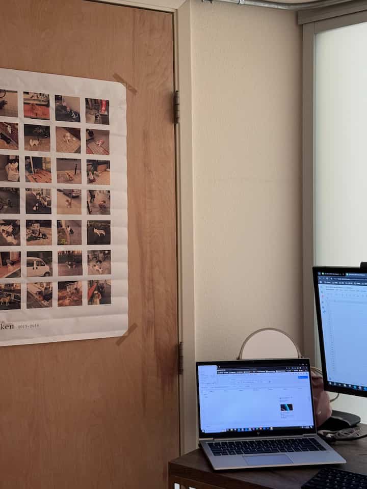 Wood tone door and white walls in a home office space featuring laptop and monitor for a practical workspace