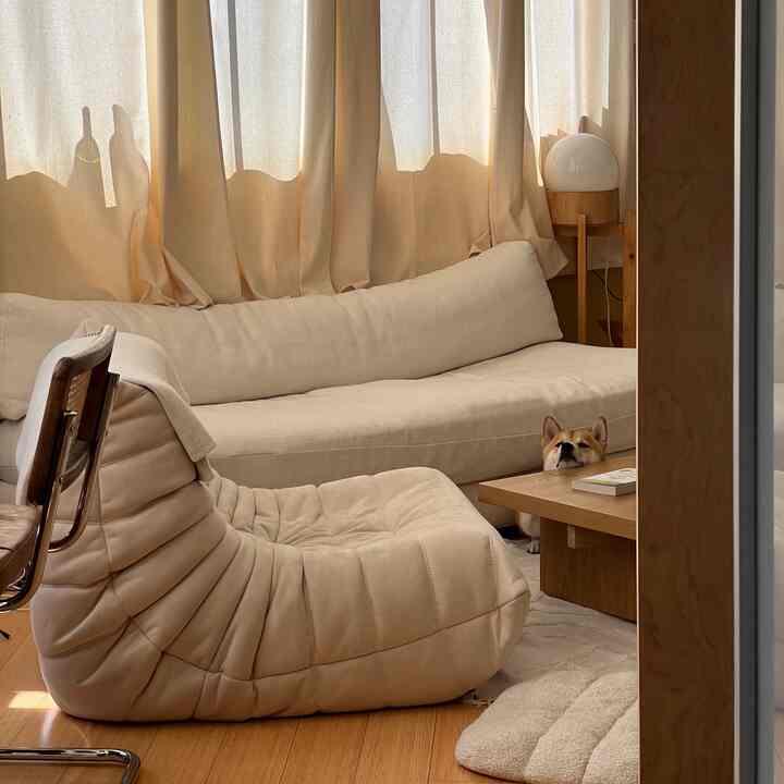 Beige and natural wood-toned living room featuring cream sofa and armchair with a warm, simple atmosphere