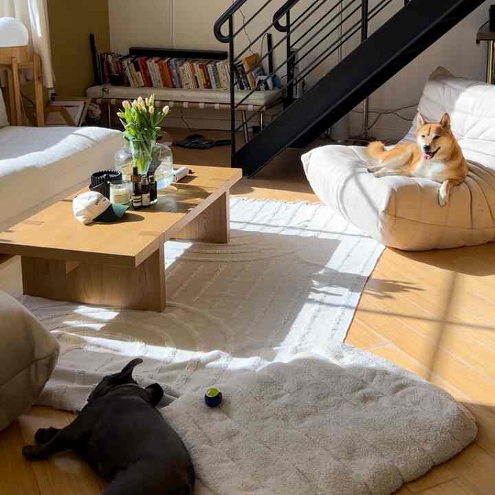 #japandi #mostloved #musthave