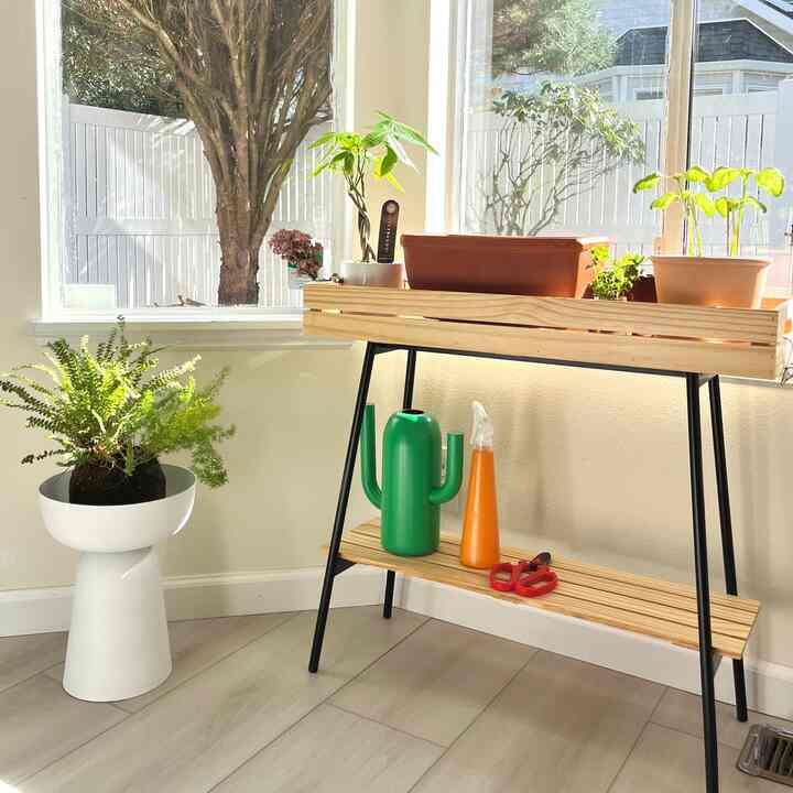 As the weather warms up, I’ve created a little corner in the kitchen just for plants. ☀️🌿 There’s something so refreshing about having a touch of greenery in the space. It makes my morning coffee even better!Excited to see how they grow in this cozy spot. 🌱✨ 

#KitchenGreens #SpringVibes #PlantLover